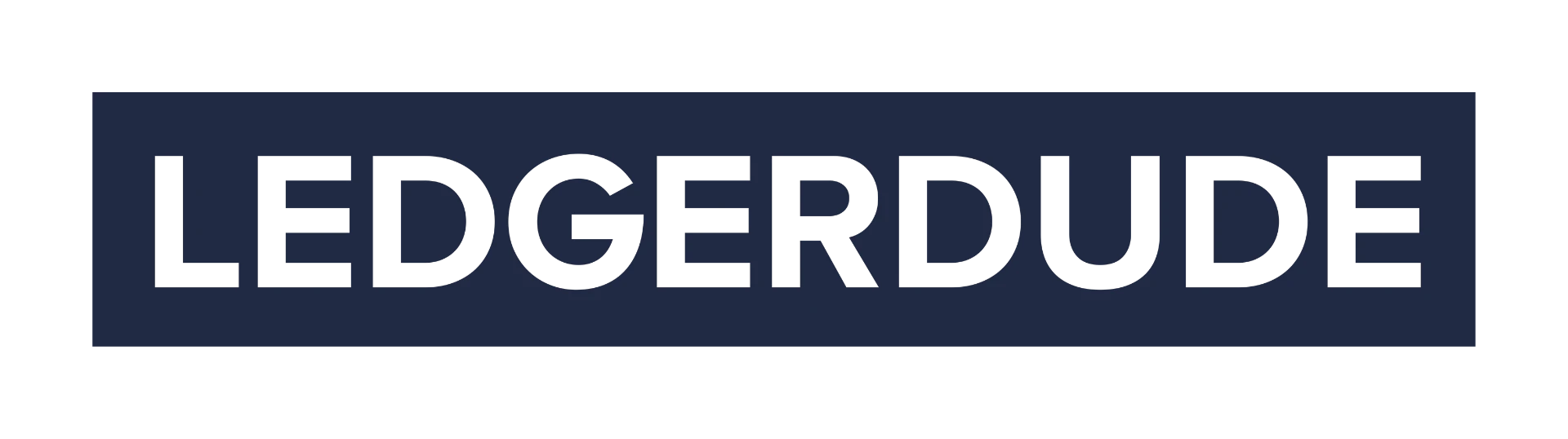 LedgerDude